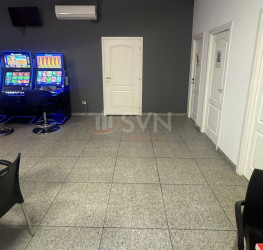 Spatiu comercial Bucuresti/Camil Ressu