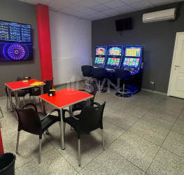 Spatiu comercial Bucuresti/Camil Ressu