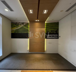 Spatiu comercial Bucuresti/P-ta Romana