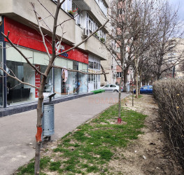 Spatiu comercial Bucuresti/Dristor