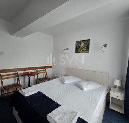 Spatiu comercial Ilfov/Domnesti