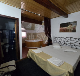 Spatiu comercial Ilfov/Domnesti