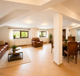Spatiu comercial Bucuresti/Kiseleff