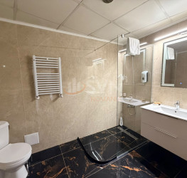 Spatiu comercial Bucuresti/Calea Victoriei