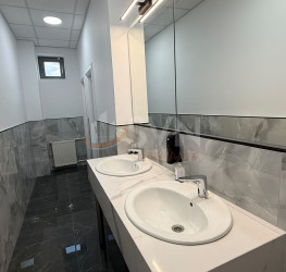 Spatiu comercial Bucuresti/P-ta Romana