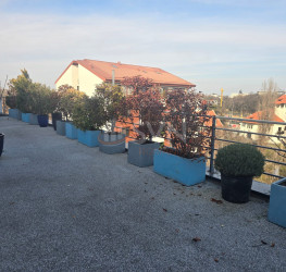 Spatiu comercial cu loc parcare exterior inclus Bucuresti/P-ta Presei Libere