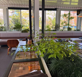 Spatiu comercial cu loc parcare subteran inclus Bucuresti/Barbu Vacarescu