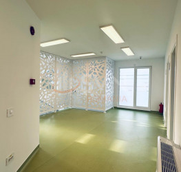 Spatiu comercial with outdoor parking included Ilfov/Corbeanca