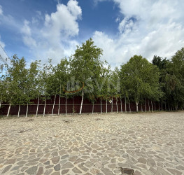 Spatiu comercial with outdoor parking included Ilfov/Otopeni