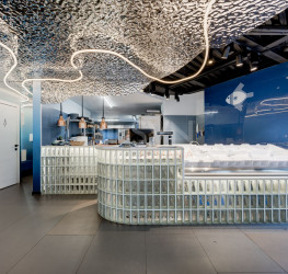 Spatiu comercial with outdoor parking included Ilfov/Voluntari