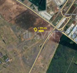 Teren 1000 mp Ilfov/Voluntari