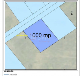Teren , 1000 mp Ilfov/Voluntari