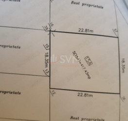 Teren 1000 mp Ilfov/Cernica