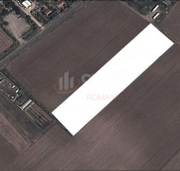 Teren 10000 mp Ilfov/Dascalu