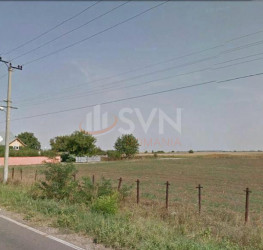 Teren 10000 mp Ilfov/Dascalu