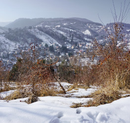 Teren 1009 mp Brasov/Drumul Poienii