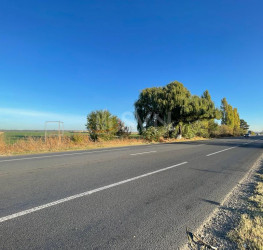 Teren 101319 mp Ilfov/Afumati