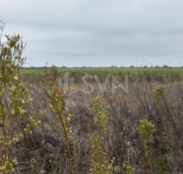 Teren 10909 mp Ilfov/Tunari