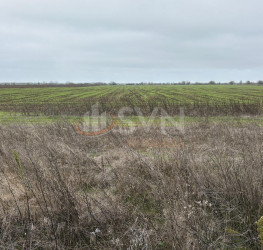 Teren 10909 mp Ilfov/Tunari