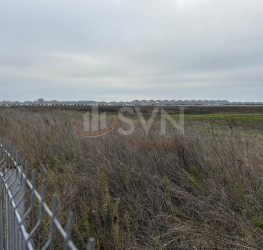 Teren 10909 mp Ilfov/Tunari