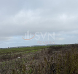 Teren 10909 mp Ilfov/Tunari