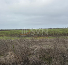 Teren 10909 mp Ilfov/Tunari