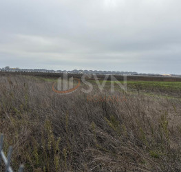 Teren 10909 mp Ilfov/Tunari