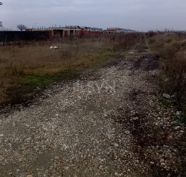 Teren , 11075 mp Ilfov/Otopeni