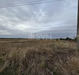 Teren , 1250 mp Dambovita/Centru