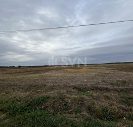 Teren , 1250 mp Dambovita/Centru