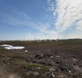 Teren 13300 mp Ilfov/Tunari