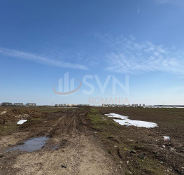 Teren 13300 mp Ilfov/Tunari