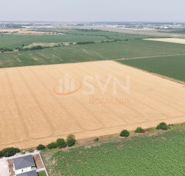 Teren , 13629 mp Ilfov/Tunari