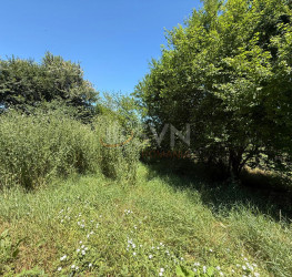 Teren 1500 mp Ilfov/Snagov