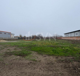 Teren 1500 mp Ilfov/Tunari