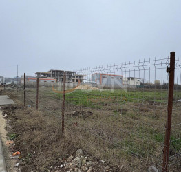 Teren 1500 mp Ilfov/Tunari