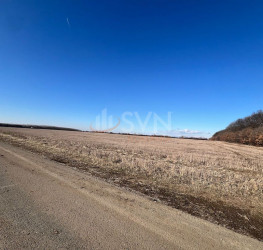 Teren , 15200 mp Ilfov/Corbeanca