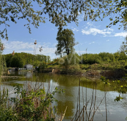 Teren 15840 mp Ilfov/Snagov