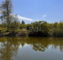Teren 15840 mp Ilfov/Snagov