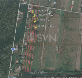 Teren 16756 mp Ilfov/Snagov