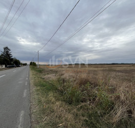 Teren 1700 mp Dambovita/Centru