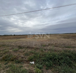 Teren 1700 mp Dambovita/Centru