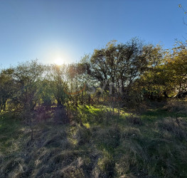 Teren 1976 mp Ilfov/Snagov