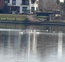 Teren 2000 mp Bucuresti/Damaroaia