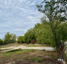 Teren 2000 mp Bucuresti/Damaroaia