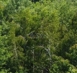 Teren , 20698 mp Arges/Centru