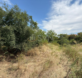 Teren , 2179 mp Ilfov/Domnesti