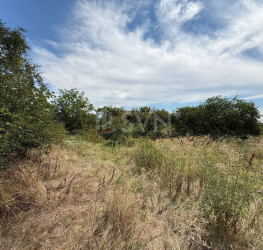 Teren , 2179 mp Ilfov/Domnesti