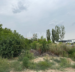 Teren 2240 mp Ilfov/Ciolpani