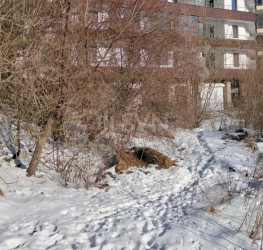 Teren 2255 mp Prahova/Centru